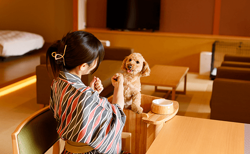 愛犬と共に楽しむお部屋での夕食。ペット同伴でも安心の温泉宿【不死王閣】