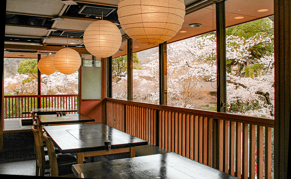 春には桜が咲き誇るダイニングテーブル席
