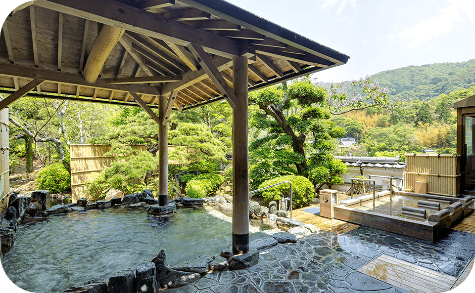 やわらかな光に包まれる癒しのひととき