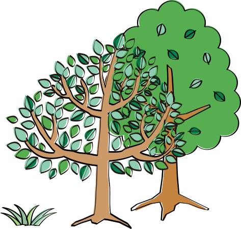 ナトリウム炭酸水素塩泉