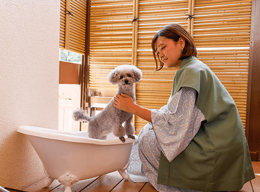 ワンちゃん専用のお風呂設備。愛犬のケアも安心の設備が充実