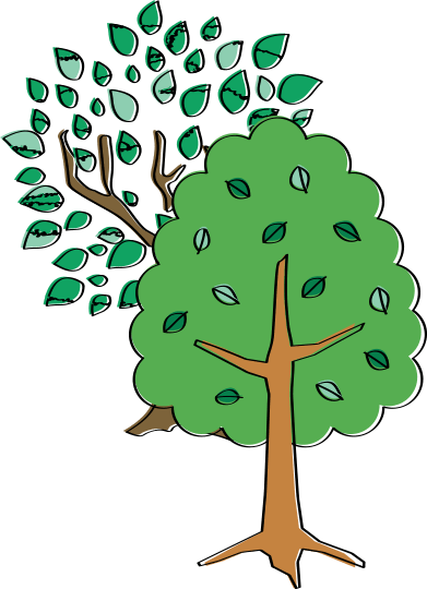 広々とした12畳和室の全景。ゆとりある空間でくつろぎのひとときを