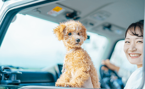 大阪市内から車で30分の好アクセス。愛犬の負担が少ない距離で快適な旅行を
