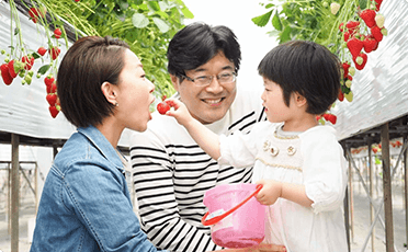 いけだのいちご狩り屋さん