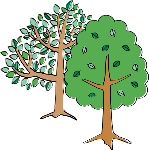 ナトリウム炭酸水素塩泉の湯あみを満喫♪