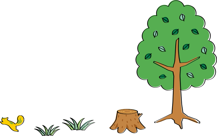 キレイを演出する2つの特典