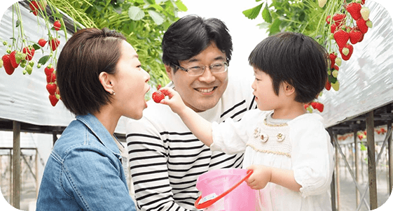 いけだのいちご狩り屋さん